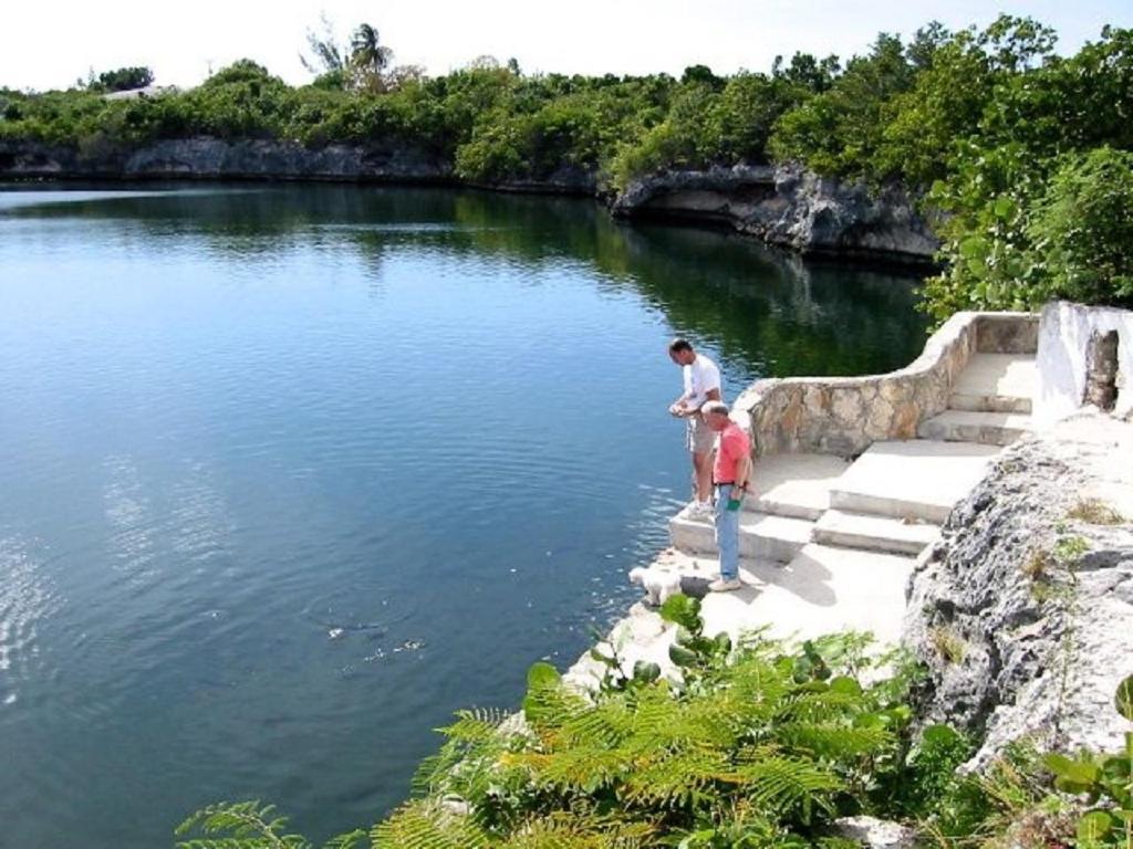 Sand Dollar Cottage Cottage Rock Sound Luaran gambar